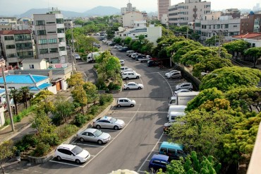 Jeju City Planting Trees to Fight Fine Dust and Heat Island Effect