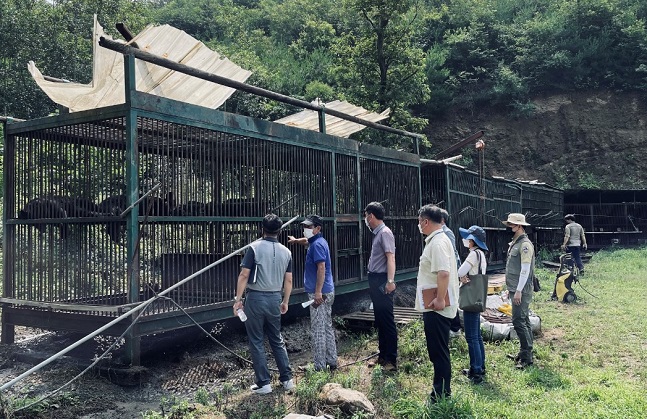 Officials inspect a bear farm in Yongin, South Korea, on July 8, 2021 in this photo provided by the Yongin city government. Two 3-year-old bears escaped from the farm two days earlier. (Yonhap)