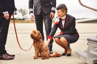 VistaJet Sees 86% Increase in Pet Travel and Enhances its VistaPet Program with Dedicated Crew Training and More Pet Partners