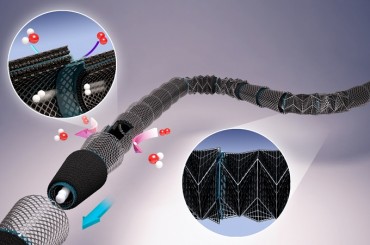 Basic Science Institute Develops Ultra-small Straw-Shaped Fuel Cell that is Light and Bendable