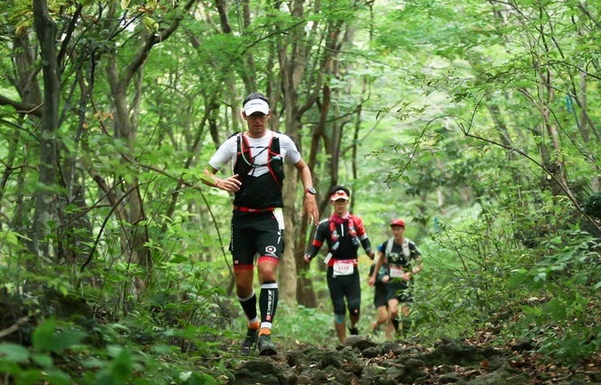 Seoul City to Host International Ultra Trail Running Race