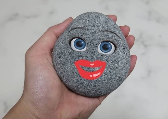 Single-person Households Raise Rocks as ‘Pets’ amid Difficulty with Real Ones