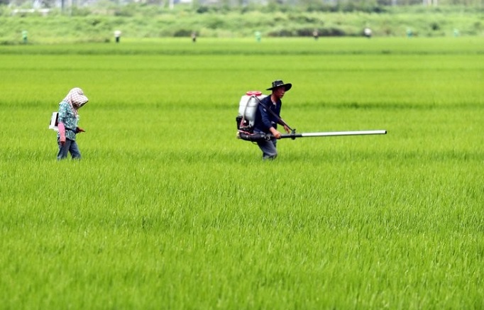 New Technology Uses Drones to Measure Acreage of Damaged Rice