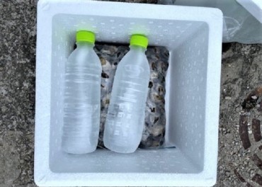 Frozen Water Bottles More Eco-friendly and Effective than Gel Packs