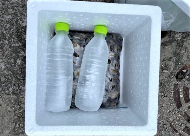 This photo provided by the Korea Federation for Environmental Movement shows a delivery box with frozen water bottles.