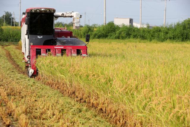 In this file photo, a farmer drives a combine to reap rice at a paddy field in the inter-Korean border town of Cheorwon, Gangwon Province, on Aug. 25, 2021. (Yonhap)