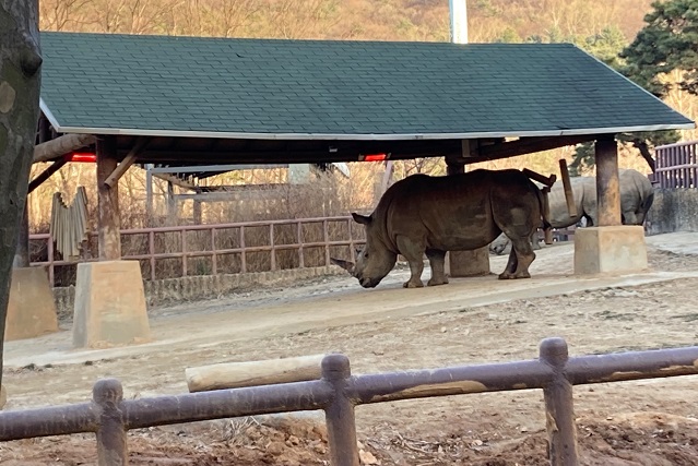 Seoul Grand Park Prepares for Winter