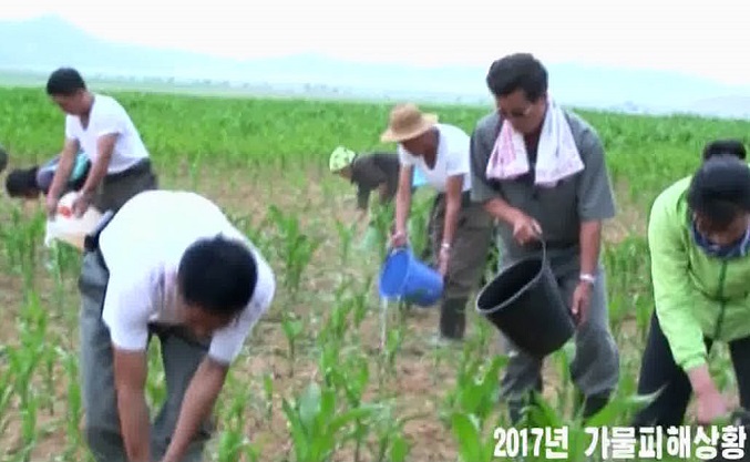 This image, captured from North Korea's Central TV Broadcasting Station, shows farmers watering dried-up paddies in the summer of 2017, when severe drought was reported.