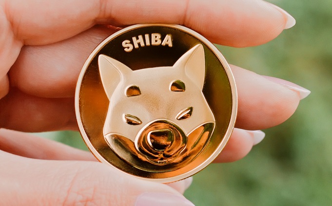 E-Gift Cards Leading Platform GiftChill to Accept Shiba Inu as Payment