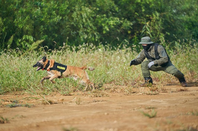 Detection Dog Retires After Outstanding Performance