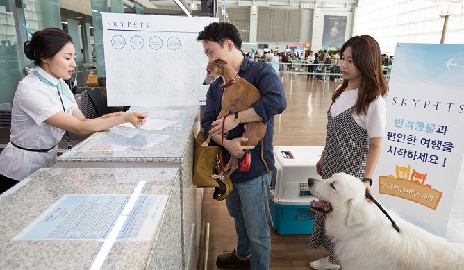 Growing Number of Pets Taking to the Skies