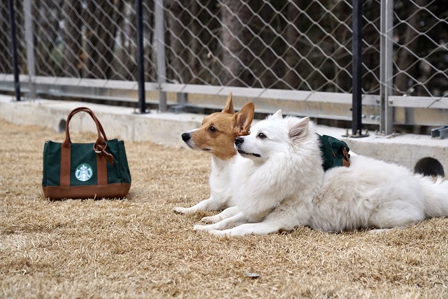 Cafe Franchises Scramble to Accept Pets