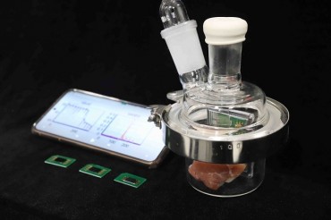 Portable ‘Electronic Nose’ Enables Real-time Freshness Checking for Meat