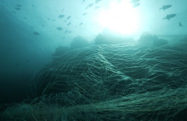Samsung to Reuse Discarded Fishing Nets for Galaxy Devices