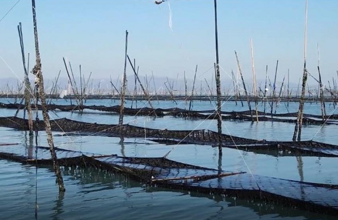 Gyeonggi Prov. to Operate S. Korea’s First ‘Shared Fish Farm’