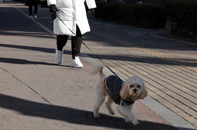 S. Korea Imposes Stricter Regulations on Dog-walking