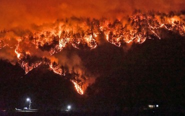 Moon Designates Wildfire-hit Eastern Region as Special Disaster Zone