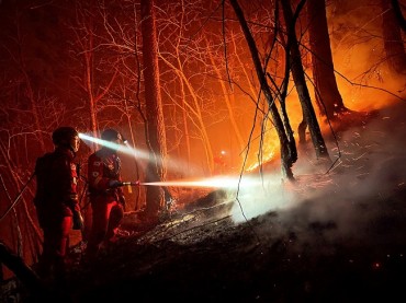 Wildfires on East Coast Burn Nearly 24,000 ha of Woodland, Most Devastating on Record