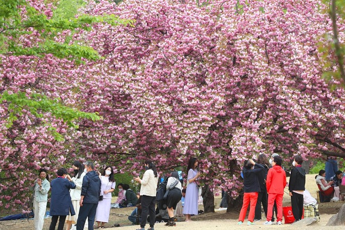 People enjoy looking at flowers at Bulguk Temple in Gyeongju, North Gyeongsang Province, on April 21, 2022. (Yonhap)