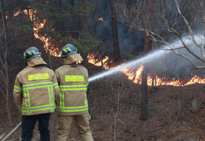 Firefighters work to extinguish a wildfire as it spread to a village in Uljin, North Gyeongsang Province, on March 5, 2022. (Yonhap)