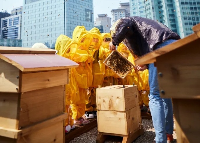 KB Financial Group Launches Tree-planting Project to Save Honeybees