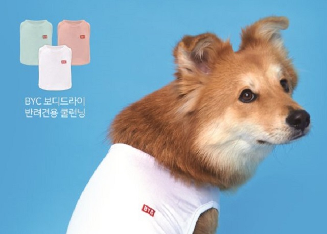 BYC to Release Cooling Underwear for Dogs