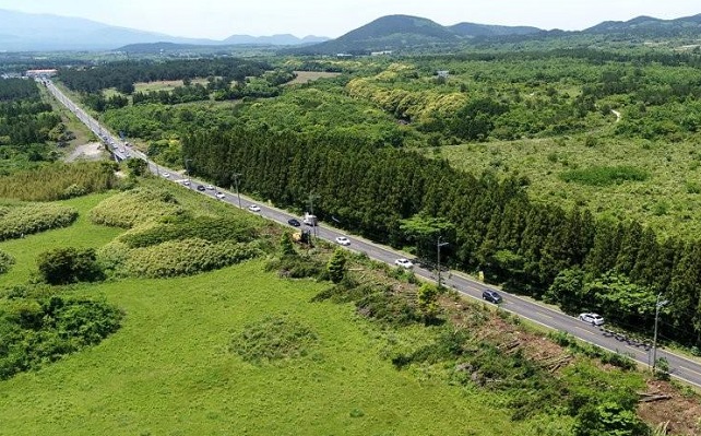 Construction of Jeju Forest Road to Restart Following Controversy over Environmental Damage