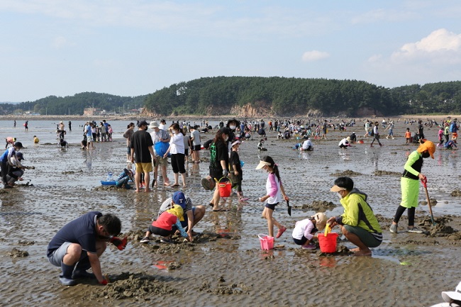 West Sea Mudflat Enters ‘Restoration Period’