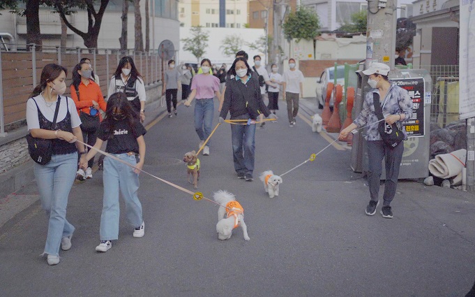 Seoul City to Expand ‘Pet Patrol’ Teams