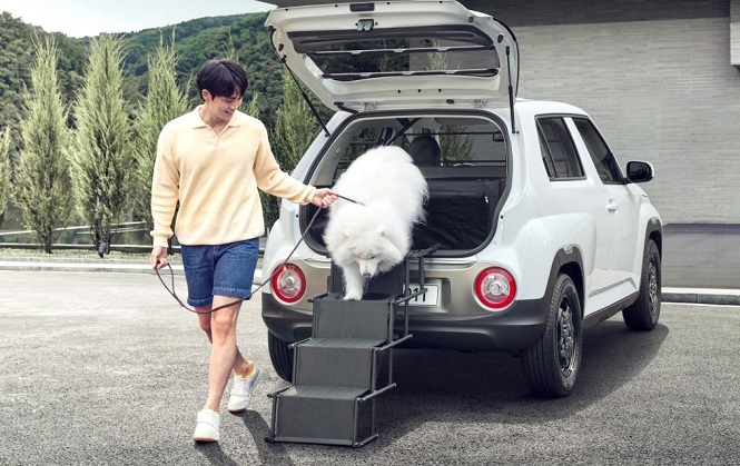 This photo provided by Hyundai Motor Co. shows a ladder for the dog for mini SUV Casper.