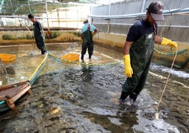 State Firm Promotes Use of Underground Seawater to Address Concerns of Land-based Fish Farms