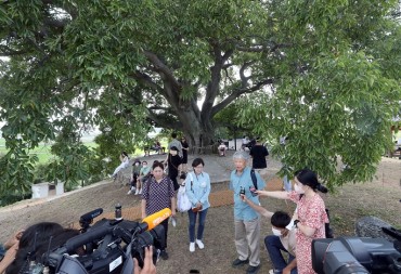 Experts Begin Natural Heritage Review of ‘Extraordinary Attorney Woo’ Tree