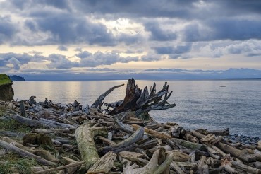 Whidbey and Camano Islands Tourism Named Early Adopter by Transformational Travel Council