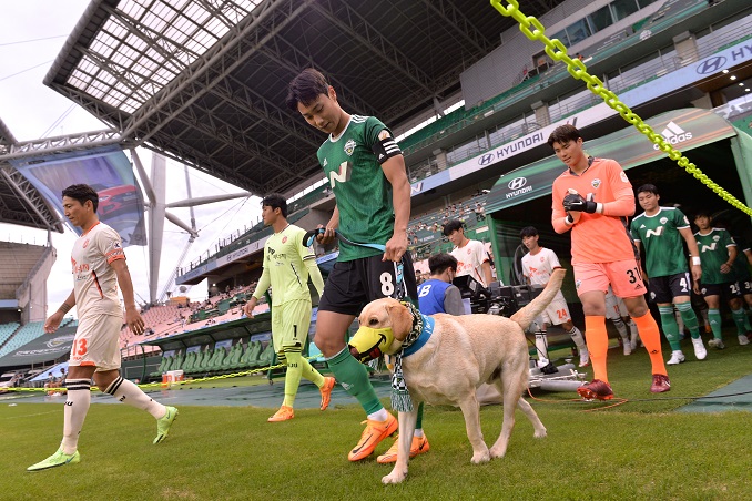 K League 1 Players Enter Football Match with Blood Donation Dogs