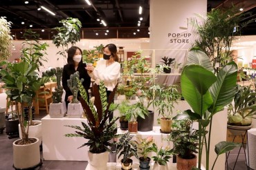 S. Korea’s Consumption of Flowers Grew Over 6 pct in 2021 amid Pandemic