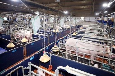 ETRI Develops Smart Barn for Livestock Breeding and Disease Management
