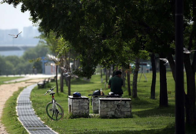 Street Tree Shade Cooler than Canopies in Summer: Study