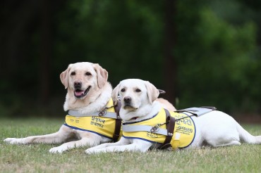 Samsung Guide Dog School Holds Rehoming Ceremony for Guide Dogs