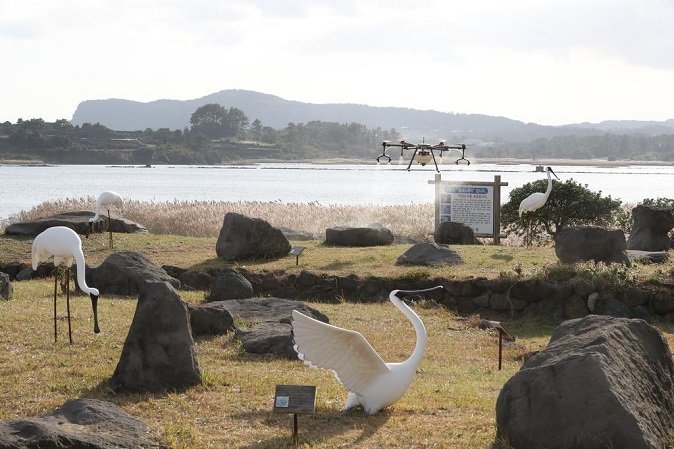 A drone sprays disinfectant at a seasonal home for migratory birds on South Korea's southern Jeju Island on Nov. 23, 2020, following the detection of a highly pathogenic avian influenza strain in the region. (Yonhap)