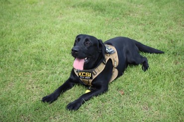 Police Sniffer Dog Finds Missing Person with Intellectual Disability