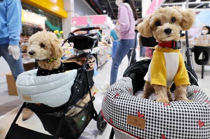 South Korean Pets Stay Home for 5 Hours Daily: Report