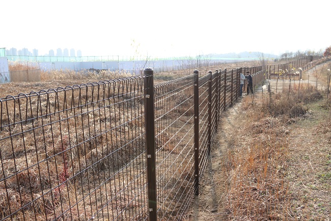 Sejong Arboretum Sets Up Facilities to Coexist with Elk