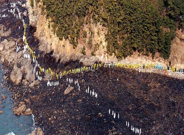 This photo provided by the Cultural Heritage Administration on Nov. 26, 2022, shows volunteers working to recover from a massive oil spill off Taean in 2007.
