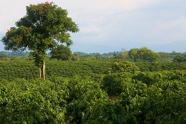 S. Korea Steps Up to Rebuild Colombia’s War-stricken Farms