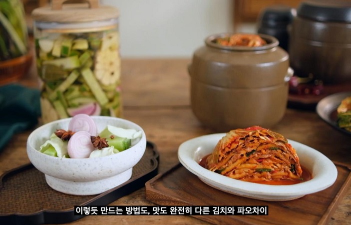 Institute Releases Video Explaining Differences Between Kimchi and Pao Cai