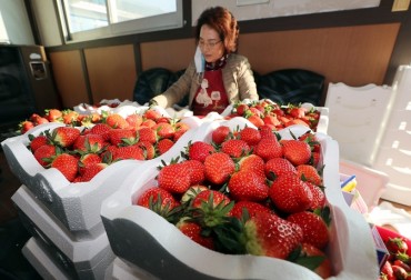 Strawberries Surpass Apples in Popularity amid Rise of ‘Convenient Consumption’ Trends