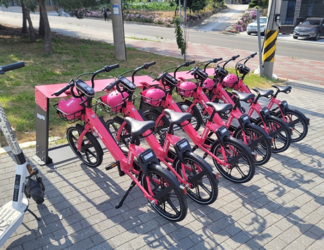 Major Cities Launch Electric Bike Promotion Projects