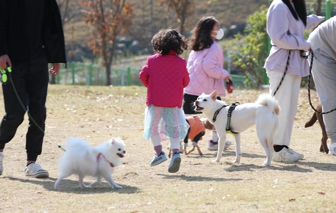 This file photo shows people spending time with their pet dogs at an event in the southwestern city of Gwangju on Nov. 6, 2022. (Yonhap)