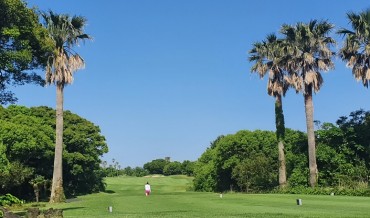 Golfers Shun Jeju, Travel Abroad Instead