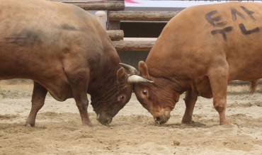 Animal Rights Groups Urge Suspension of Traditional Bullfighting